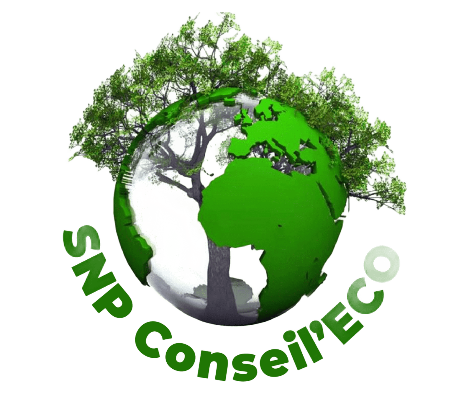 Logo SNP Conseil'ECO